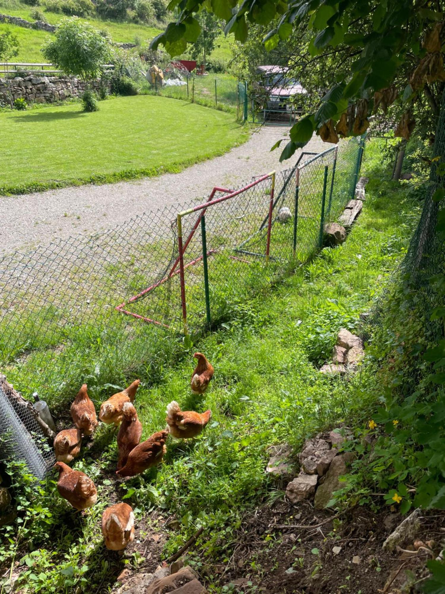 Los Chozos De La Brana Branosera Buitenkant foto