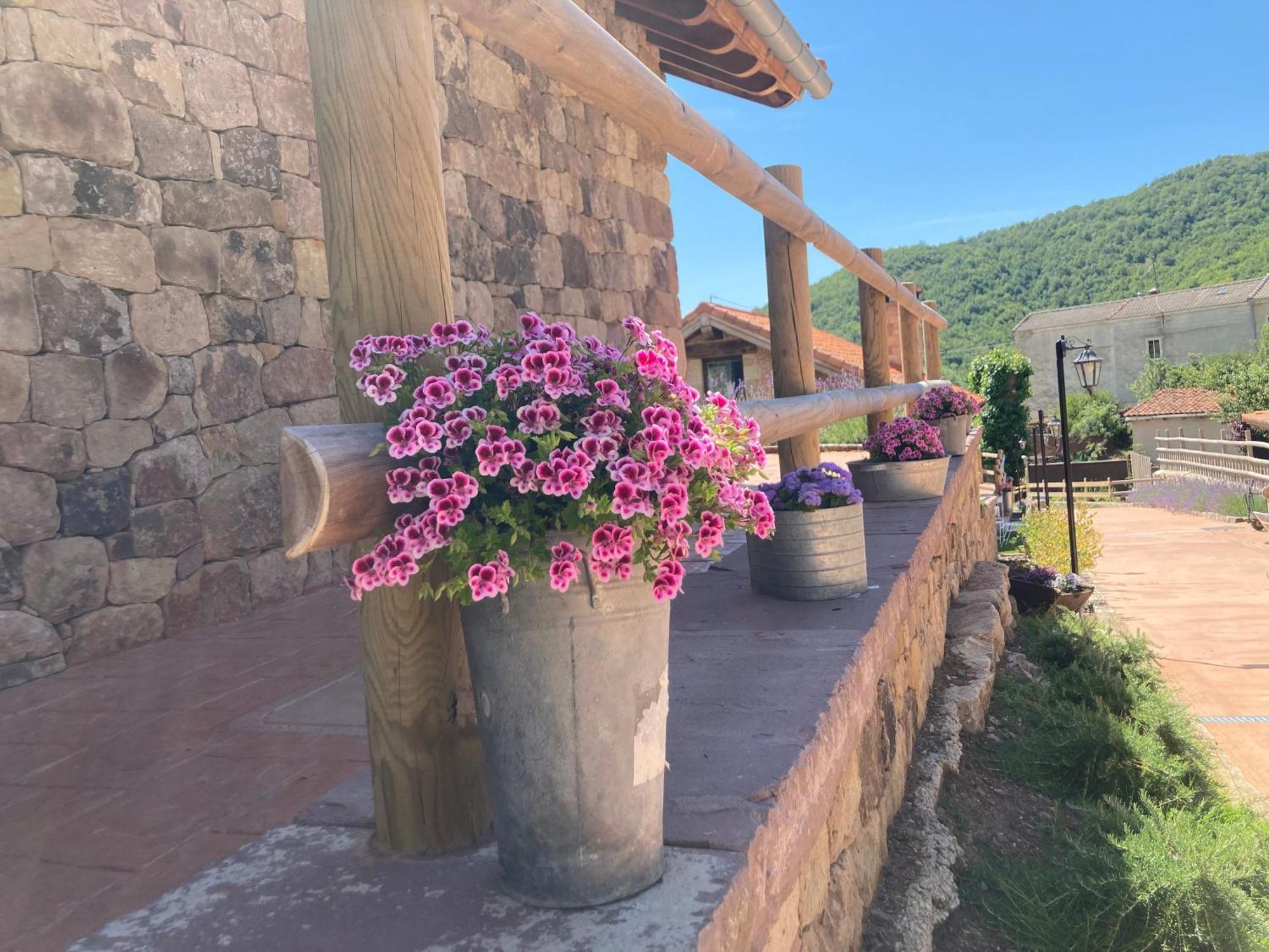 Los Chozos De La Brana Branosera Buitenkant foto