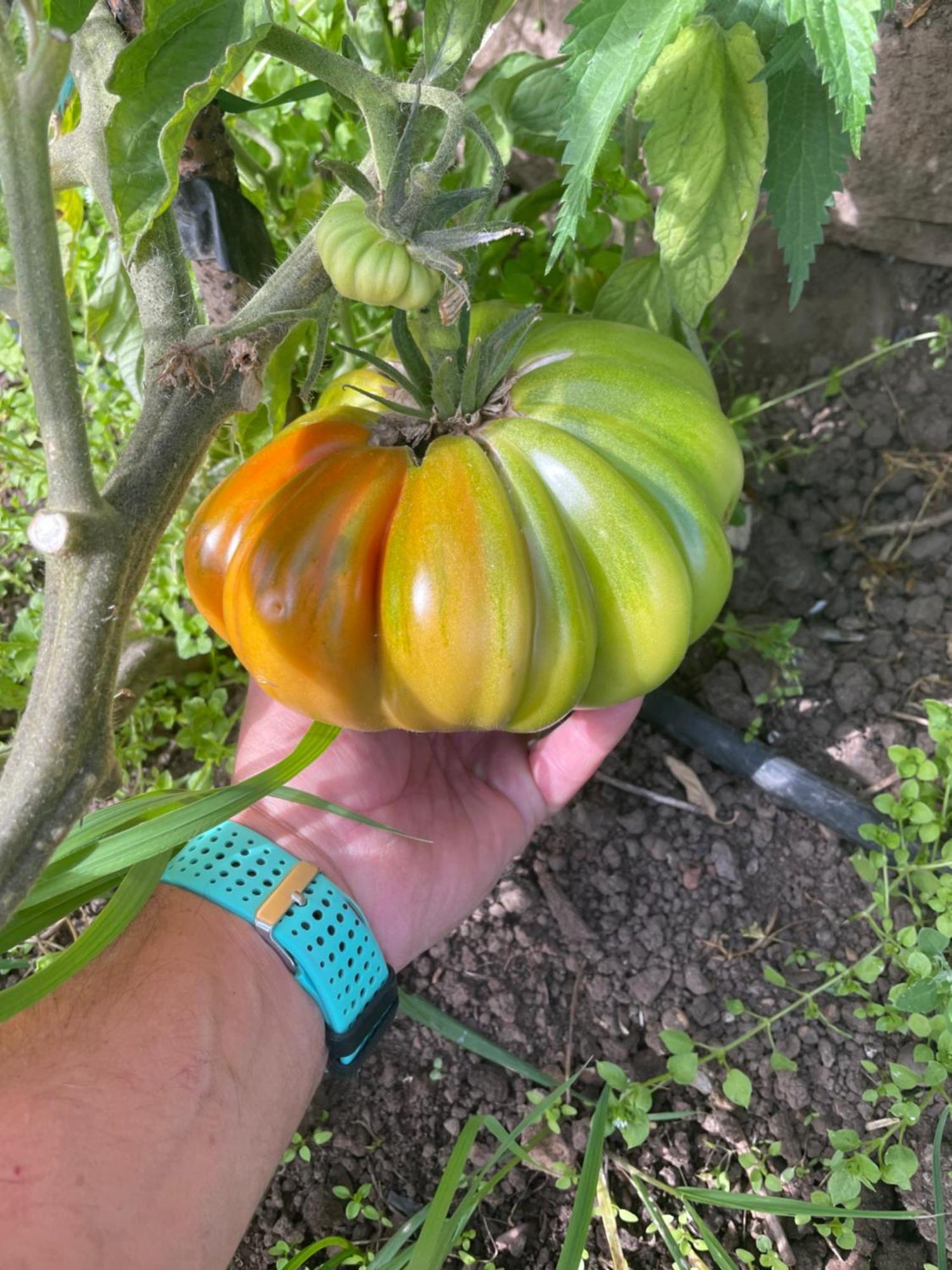 Los Chozos De La Brana Branosera Buitenkant foto